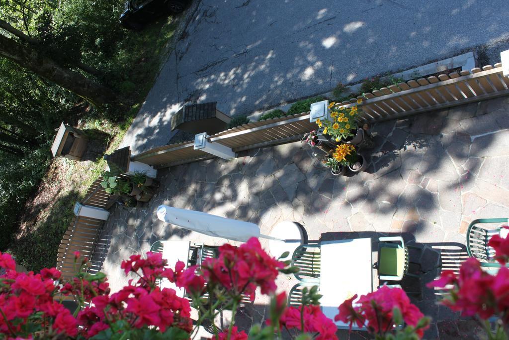 Lugeck Berchtesgaden
